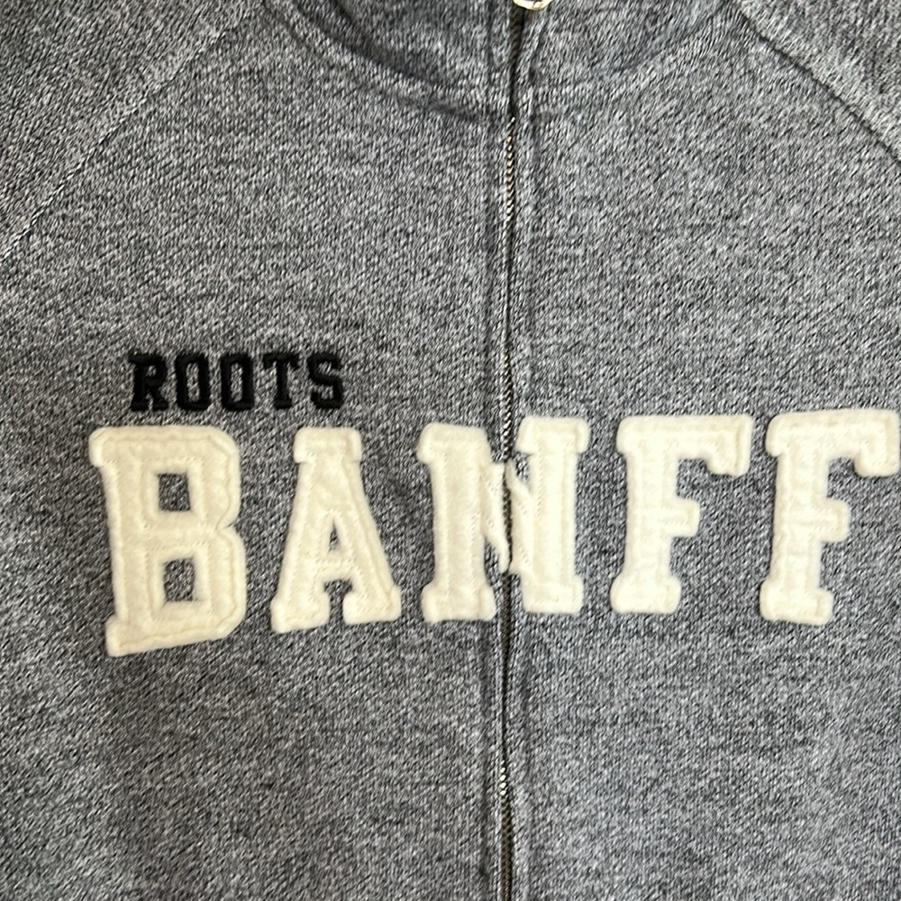 Roots Gray Banff Hoodie - Picture 8 of 12